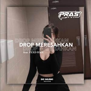 Album DROP MERESAHKAN JAPANESSE GOBLIN [feat. FEXD RMX] oleh pras Remixer