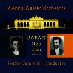 收聽Vienna Walzer Orchestra的Radetzky March, Op. 228歌詞歌曲