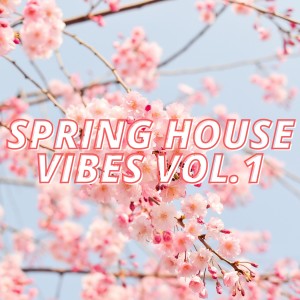 Listen to House of Deep (Equinox Mix) song with lyrics from Enrique Francoise Botteri