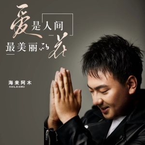 Listen to 爱是人间最美丽的花 song with lyrics from 海来阿木