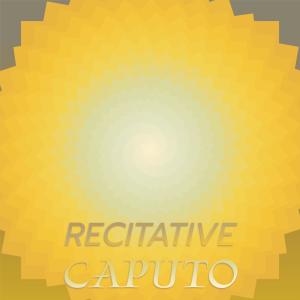 收聽Vece Horas的Brazilian Degrease歌詞歌曲