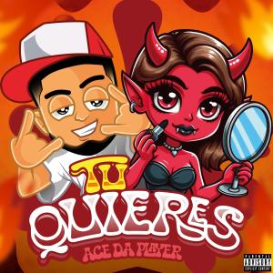 ดาวน์โหลดและฟังเพลง Tu Quieres (Explicit) พร้อมเนื้อเพลงจาก Ace Da Player