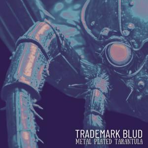 收聽Trademark Blud的Trap A Devil's Soul (feat. Airklipz) (Explicit)歌詞歌曲