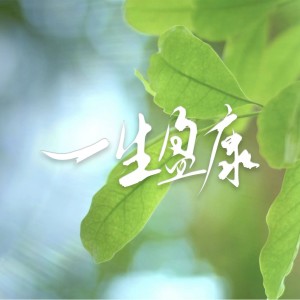 Album 一生盈康 from 杨历川