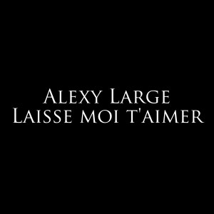 Listen to Laisse moi t'aimer song with lyrics from Alexy Large