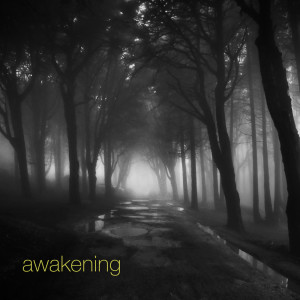 ดาวน์โหลดและฟังเพลง Awakening พร้อมเนื้อเพลงจาก Clarence Ofwerman