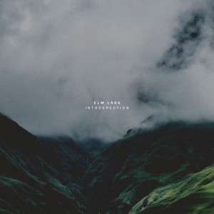 Elm Lake的專輯Introspection