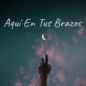 Album Aquí En Tus Brazos oleh Concentracion
