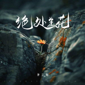 收听钟立帅的绝处生花歌词歌曲