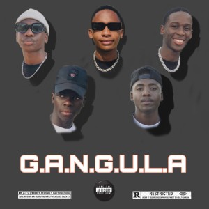 Dlala Makini ZA的專輯G.A.N.G.U.L.A (Explicit)