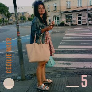 Cecilie Noer的專輯Where Did You Go