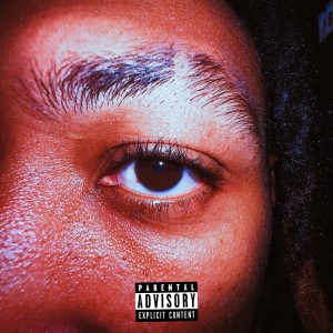 ดาวน์โหลดและฟังเพลง so bad (Explicit) พร้อมเนื้อเพลงจาก THERON JR.