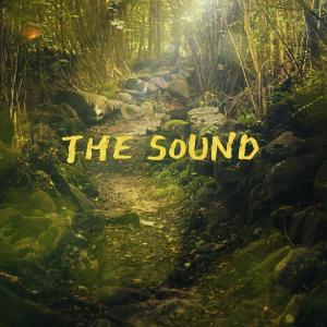 Listen to The Sound song with lyrics from Chris J