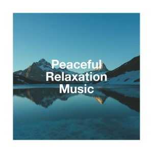 Peaceful Relaxation Music dari Angels Of Relaxation