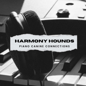 Harmony Hounds: Piano Canine Connections