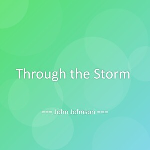 Album Through the Storm from John Johnson