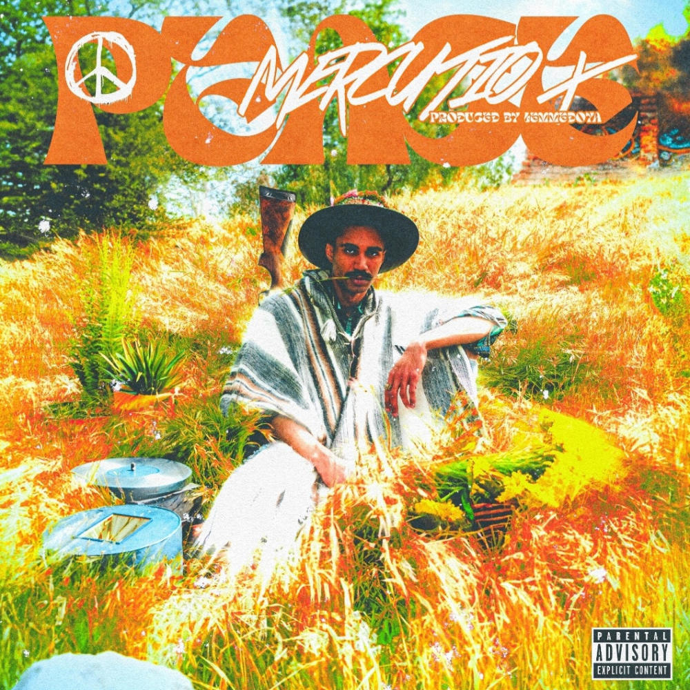 Peace (feat. Lemmedoya) (Explicit)