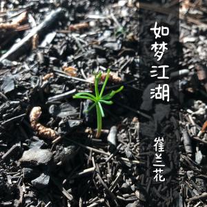 崔兰花的专辑如梦江湖