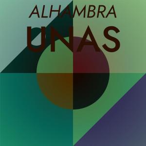 Listen to Undoubtedly Unreliable song with lyrics from Fana Rehans