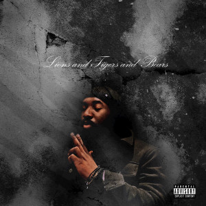 Listen to Don't Play (Explicit) song with lyrics from Sifer