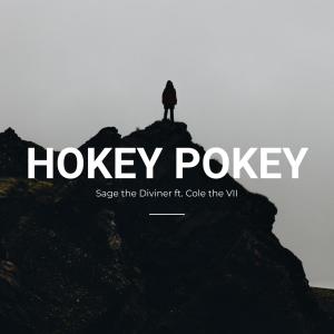 Listen to Hokey Pokey song with lyrics from Sage the Diviner