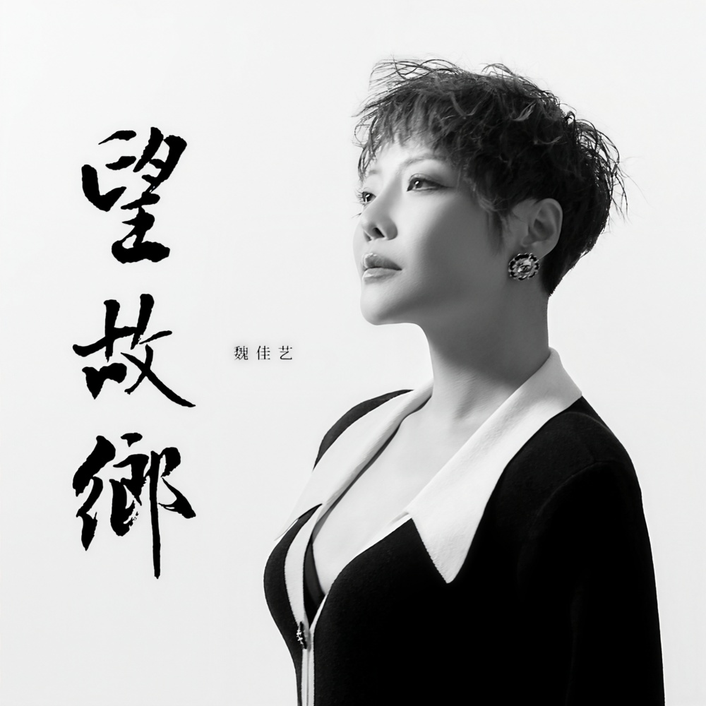 望故乡 (伴奏)
