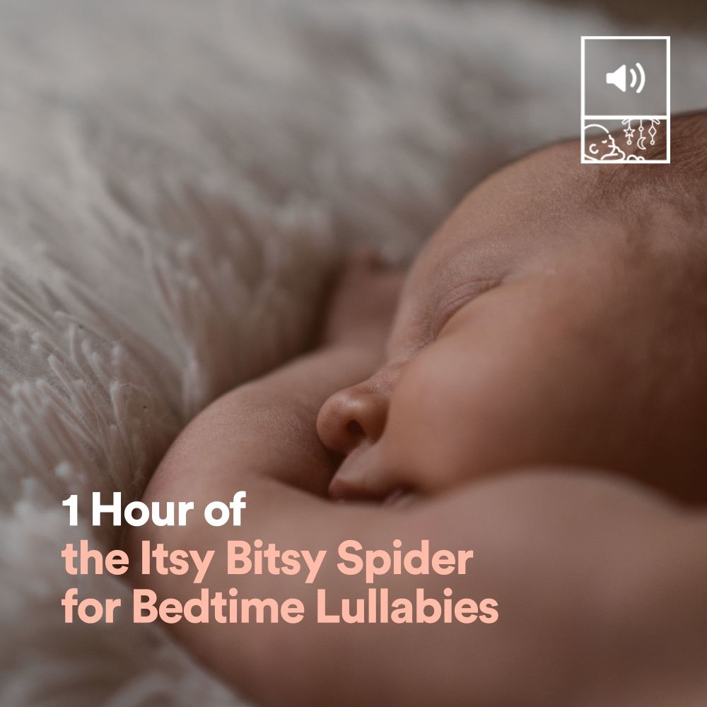 1 Hour of the Itsy Bitsy Spider for Bedtime Lullabies, Pt. 30