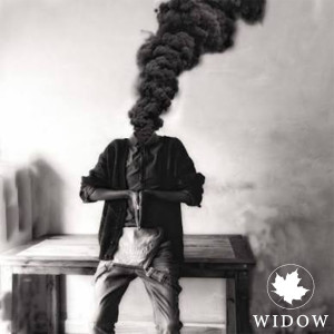 Album Widow (Explicit) oleh Sienna Skies