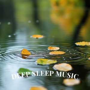 Album Deep Rain Sleep Therapy with Binaural Waves from Deep Sleep Music