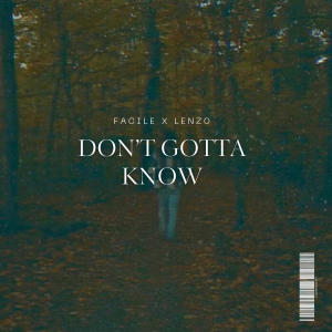 Facile的專輯DON'T GOTTA KNOW (feat. Lenzo)