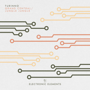 ดาวน์โหลดและฟังเพลง Jungle Jungle (Extended Mix) พร้อมเนื้อเพลงจาก Turinno