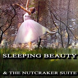 Listen to Nutcracker Suite, Op. 71: Arabian Dance song with lyrics from Philharmonia Orchestra