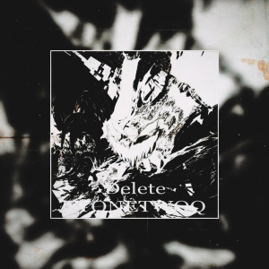 Listen to Delete (Explicit) song with lyrics from TYONETWOQ