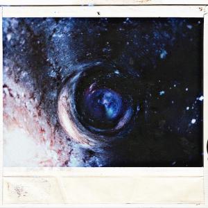 ดาวน์โหลดและฟังเพลง outkasts (feat. Luos Nod, Paragon Don, bluFlame James, Myer$ & Ac3 Sage) (Explicit) พร้อมเนื้อเพลงจาก 93Bpm