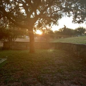 Listen to 28 de Diciembre song with lyrics from Diego Ortiz