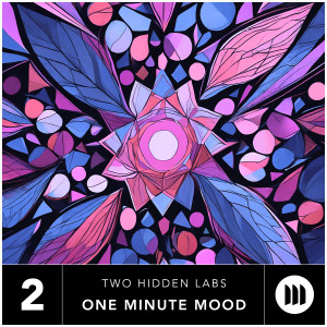 Album One Minute Mood, Vol. 2 from Two Hidden Labs