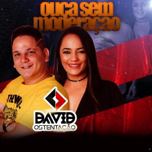 ดาวน์โหลดและฟังเพลง Pintinha Rafinha (Ao Vivo) พร้อมเนื้อเพลงจาก David Ostentação