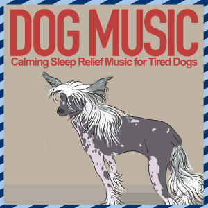 Relax My Dog的專輯Dog Music - Calming Sleep Relief Music for Tired Dogs