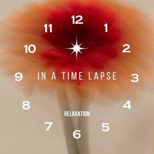 Album In a Time Lapse from 