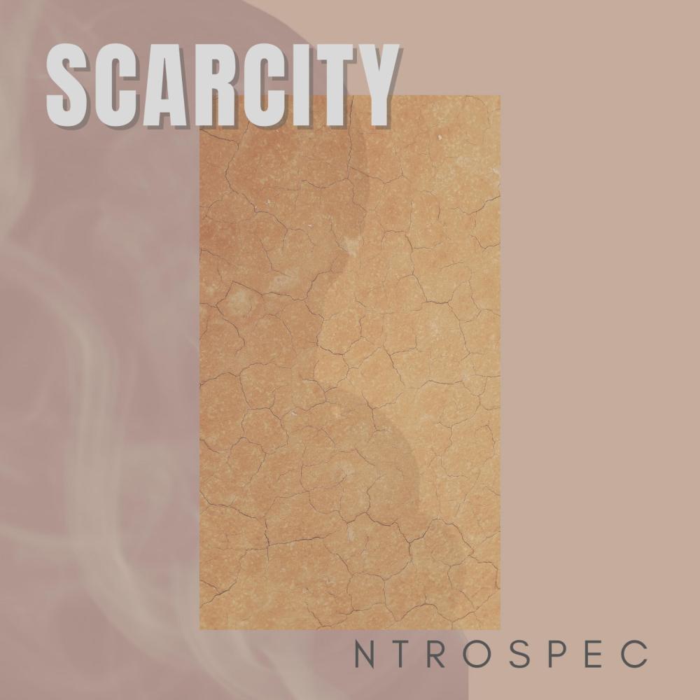 Scarcity