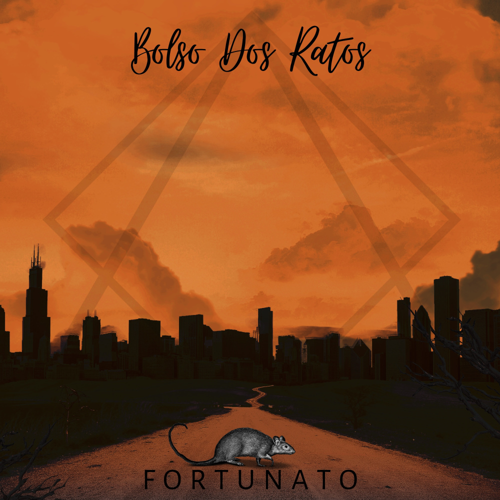 Bolso dos Ratos
