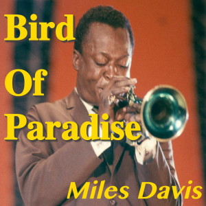 收聽Miles Davis的Ornithology歌詞歌曲