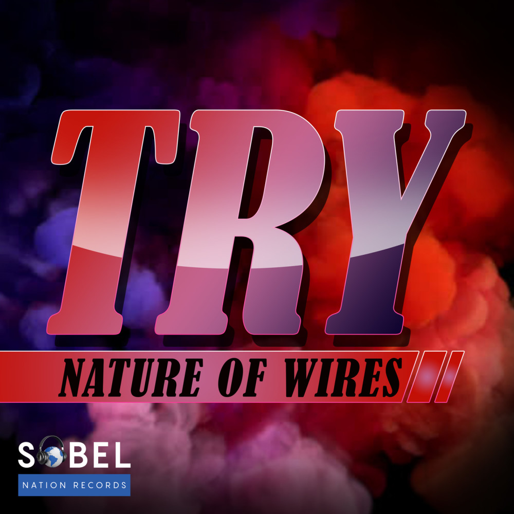 Try (Spin Sista Future X Radio Edit)