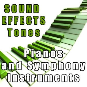 ดาวน์โหลดและฟังเพลง Classical Violin Tone พร้อมเนื้อเพลงจาก Sound Effects Inc.