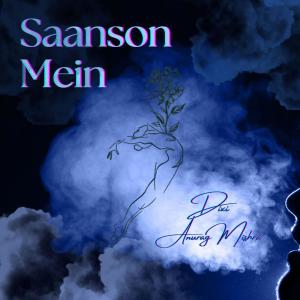 DIXI的專輯Saanson Mein