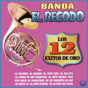 收聽Banda Sinaloense El Recodo De Cruz Lizarraga的La Culebra歌詞歌曲