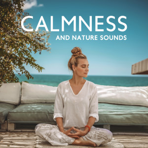 Listen to Gentle Stream Sounds song with lyrics from White Noise Universe
