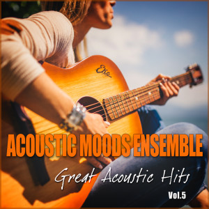 ดาวน์โหลดและฟังเพลง Alison's Theme (Pretty Little Liars) พร้อมเนื้อเพลงจาก Acoustic Moods Ensemble