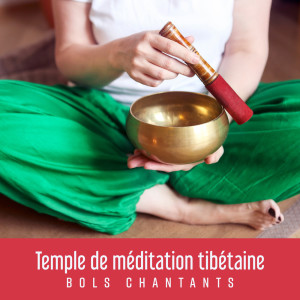 Dengarkan lagu Insight Explosion nyanyian Zen Méditation Académie dengan lirik