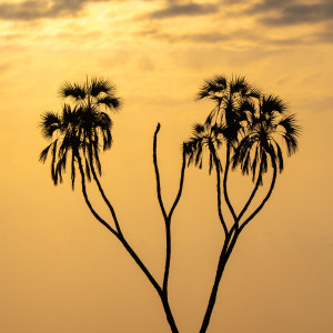 Listen to hold me song with lyrics from desert date.